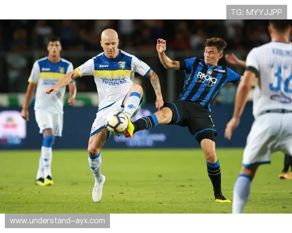 弗罗西诺内俱乐部发展历程与意甲赛场表现分析