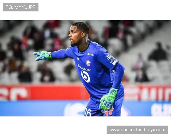 欧塞尔俱乐部重返法甲赛场振兴计划与球队发展前景分析